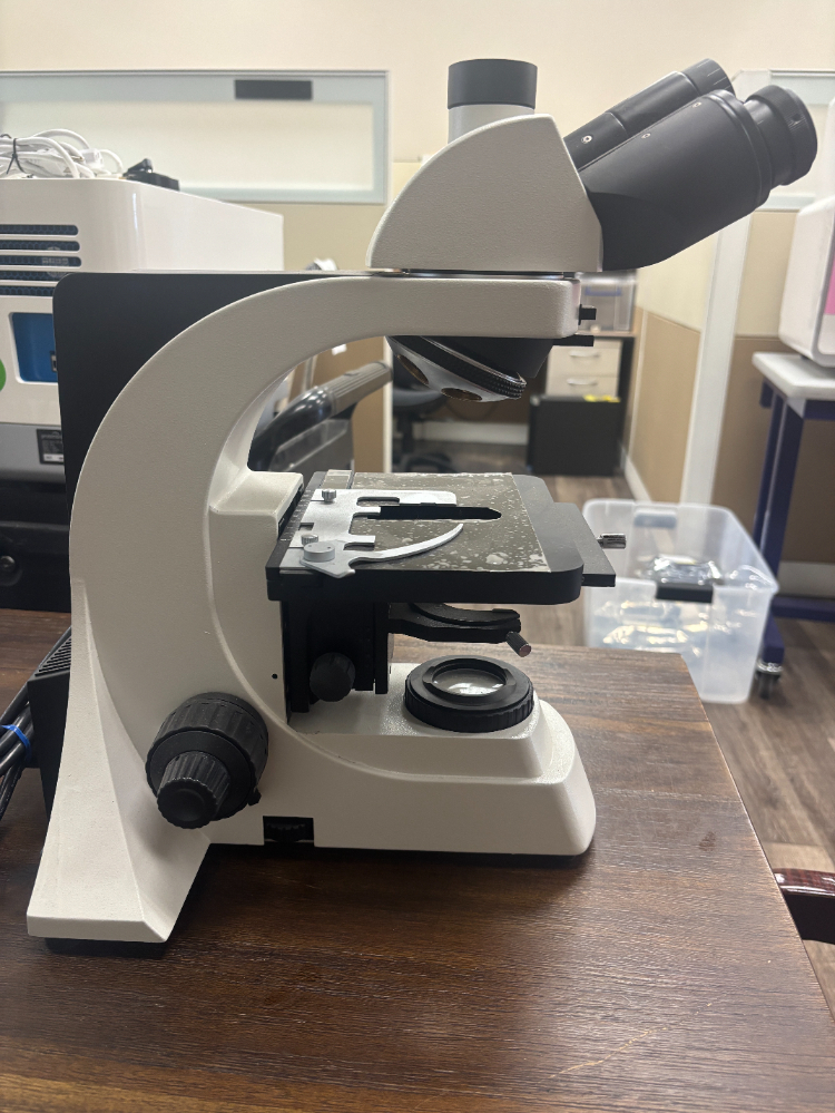 Image of Am Scope microscope